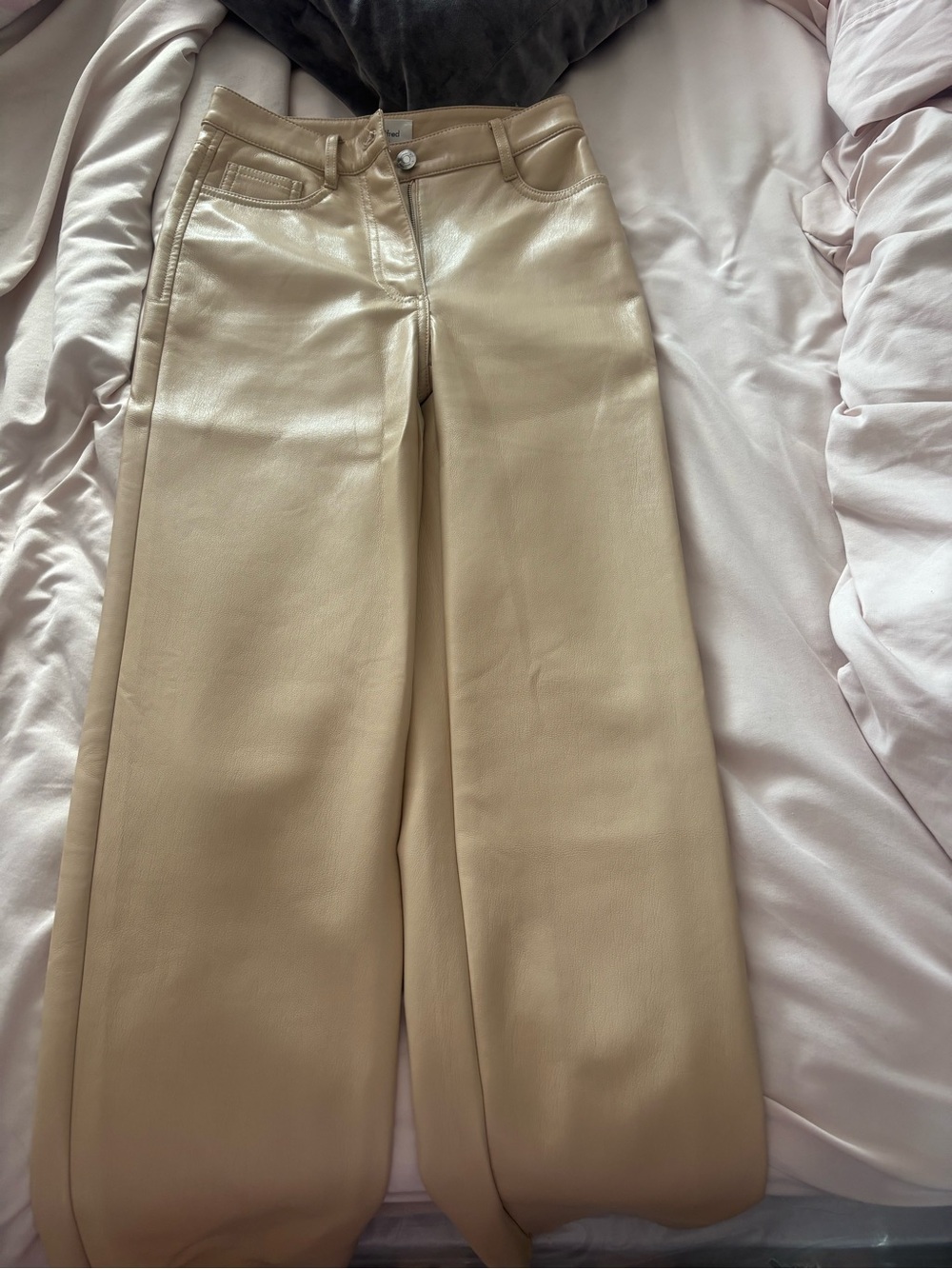 Aritzia leather pants